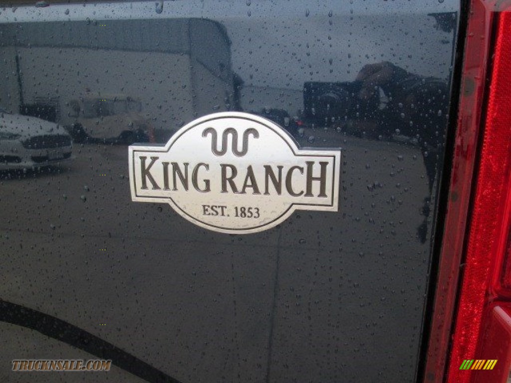 2015 F150 King Ranch SuperCrew 4x4 - Blue Jeans Metallic / King Ranch Java/Mesa photo #19