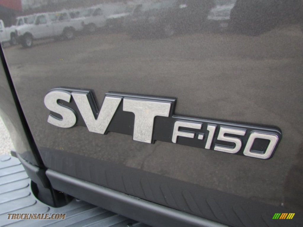 2003 F150 SVT Lightning - Dark Shadow Grey Metallic / Medium Graphite Grey photo #45