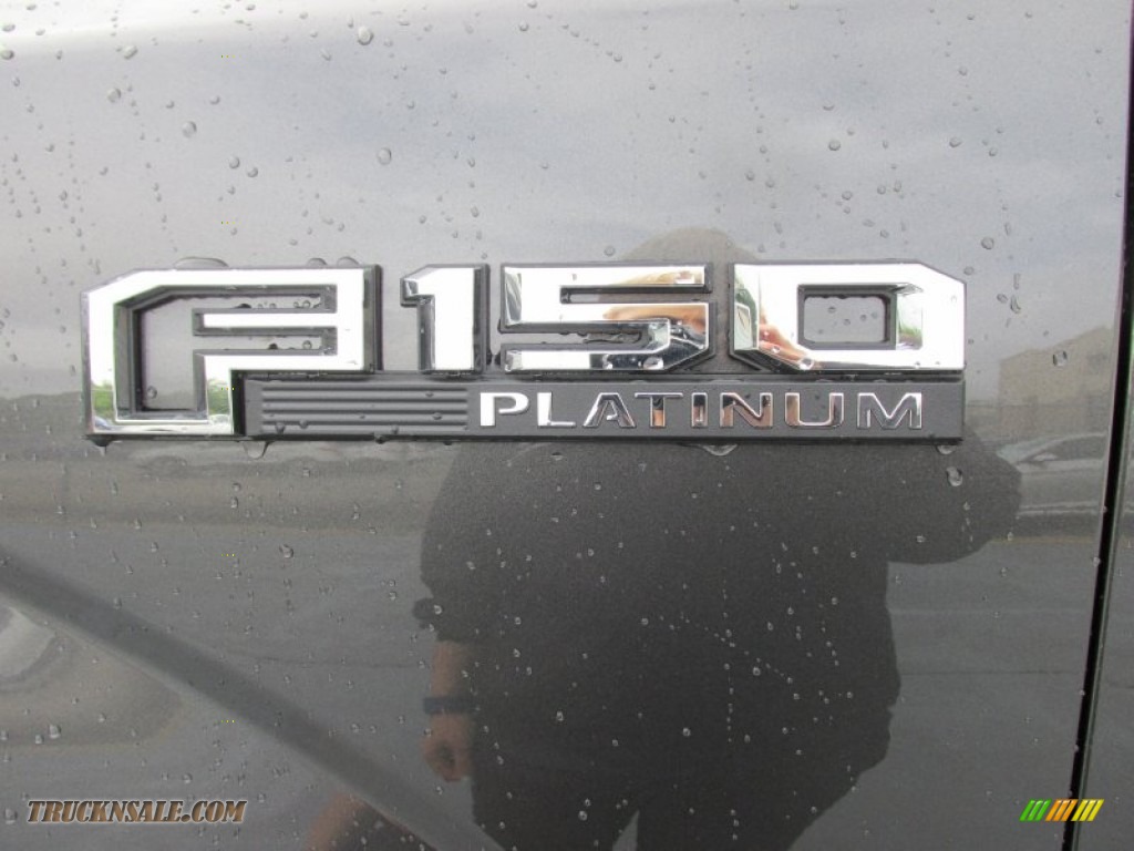 2015 F150 Platinum SuperCrew 4x4 - Magnetic Metallic / King Ranch Java/Mesa photo #13