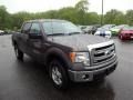 Ford F150 XLT SuperCrew 4x4 Sterling Grey photo #1