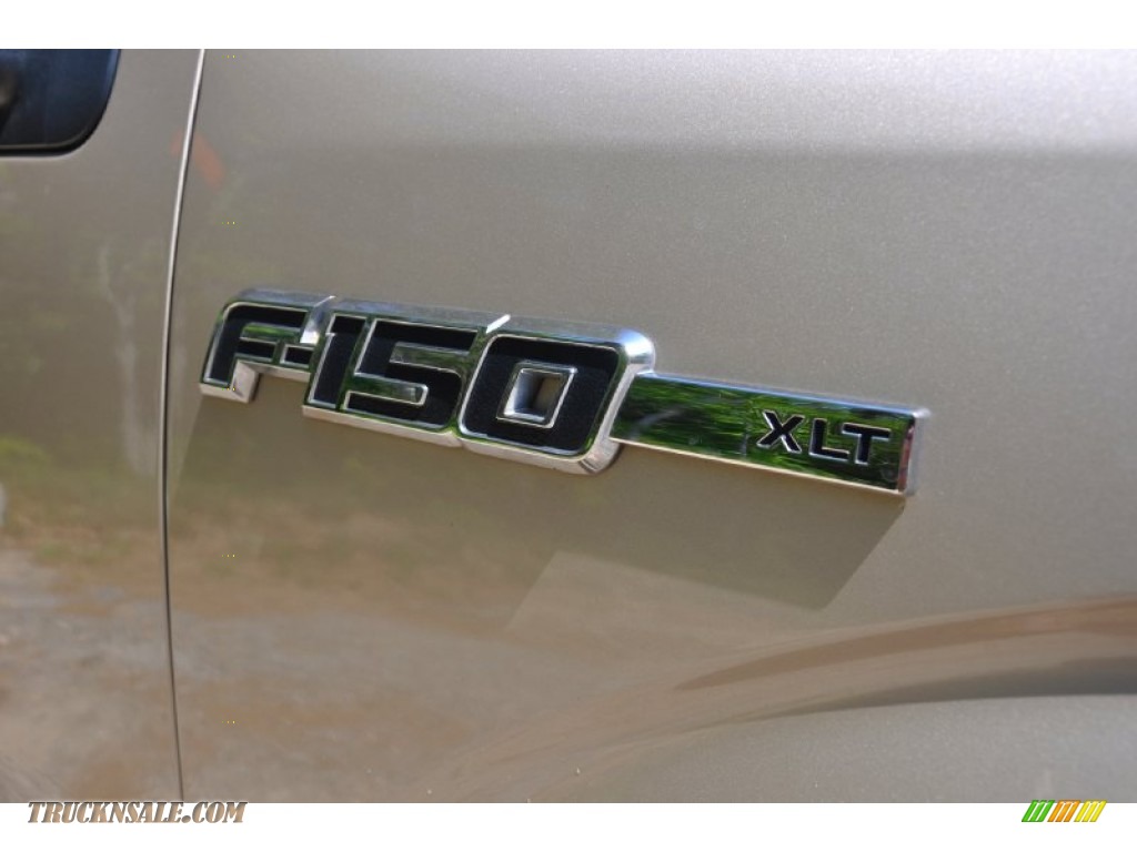 2010 F150 XLT SuperCab - Pueblo Gold Metallic / Tan photo #4
