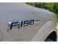 Ford F150 XLT SuperCab Pueblo Gold Metallic photo #26