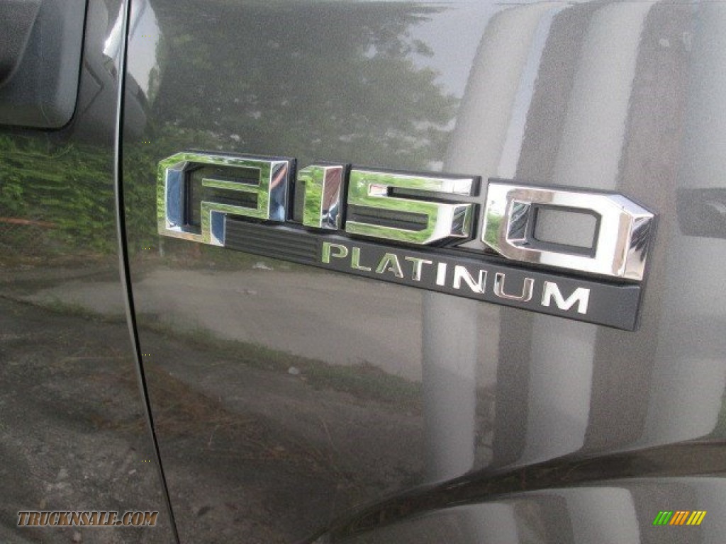 2015 F150 Platinum SuperCrew 4x4 - Magnetic Metallic / Platinum Black photo #5