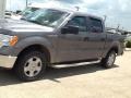 Ford F150 XLT SuperCrew Sterling Grey photo #2