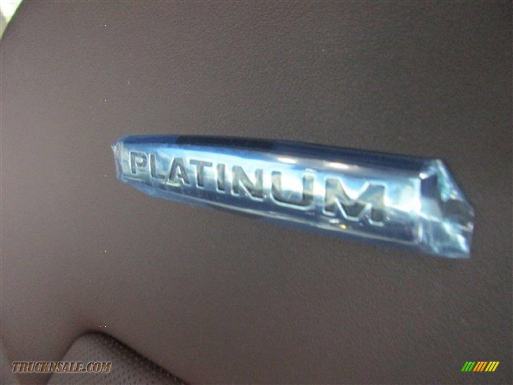2015 F150 Platinum SuperCrew 4x4 - Ingot Silver Metallic / Platinum Brunello photo #11