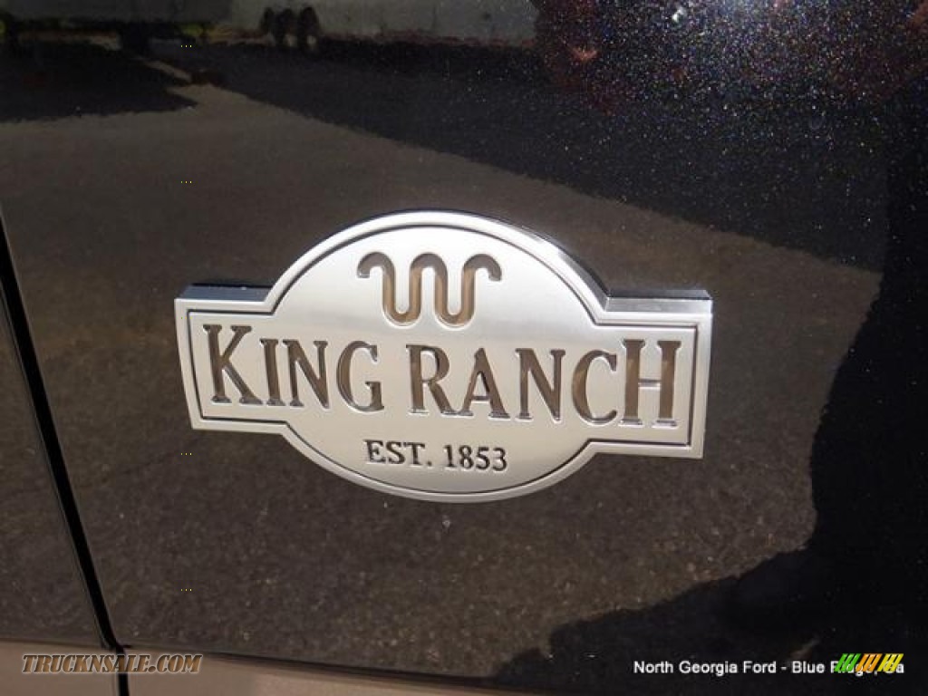 2015 F150 King Ranch SuperCrew 4x4 - Tuxedo Black Metallic / King Ranch Java/Mesa photo #41