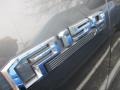Ford F150 XLT SuperCrew Magnetic photo #3