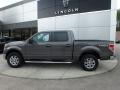 Ford F150 XLT SuperCrew 4x4 Sterling Grey photo #2