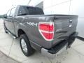 Ford F150 XLT SuperCrew 4x4 Sterling Grey photo #3
