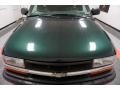 Chevrolet S10 ZR2 Extended Cab 4x4 Forest Green Metallic photo #44
