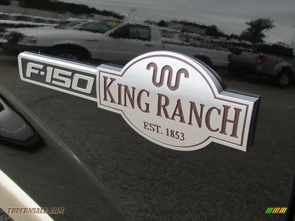 2011 F150 King Ranch SuperCrew 4x4 - Tuxedo Black Metallic / Chaparral Leather photo #13