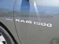 Dodge Ram 1500 ST Regular Cab Mineral Gray Metallic photo #9
