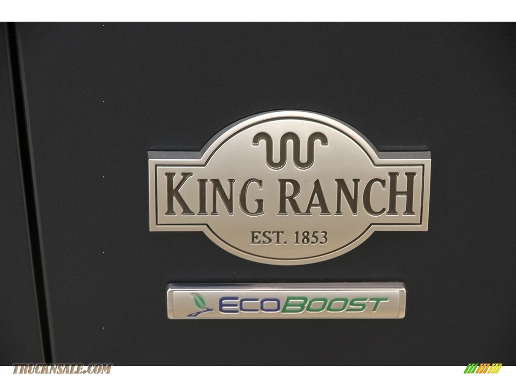 2015 F150 King Ranch SuperCrew 4x4 - Blue Jeans Metallic / King Ranch Java/Mesa photo #40