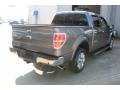 Ford F150 Lariat SuperCrew Sterling Grey photo #8