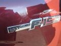 Ford F150 XLT SuperCrew Red Candy Metallic photo #45