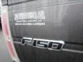 Ford F150 XLT SuperCrew Ingot Silver photo #11
