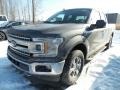 Ford F150 XLT SuperCab 4x4 Magnetic photo #1