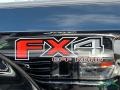 Ford F150 Platinum SuperCrew 4x4 Shadow Black photo #38