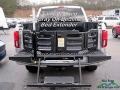 Ford F150 Limited SuperCrew 4x4 Ingot Silver photo #13