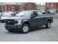 Ford F150 XL SuperCrew 4x4 Magnetic photo #1