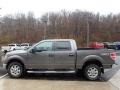 Ford F150 XLT SuperCrew 4x4 Sterling Grey photo #5