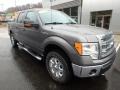 Ford F150 XLT SuperCrew 4x4 Sterling Grey photo #8