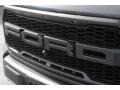 Ford F150 SVT Raptor SuperCrew 4x4 Lead Foot photo #4