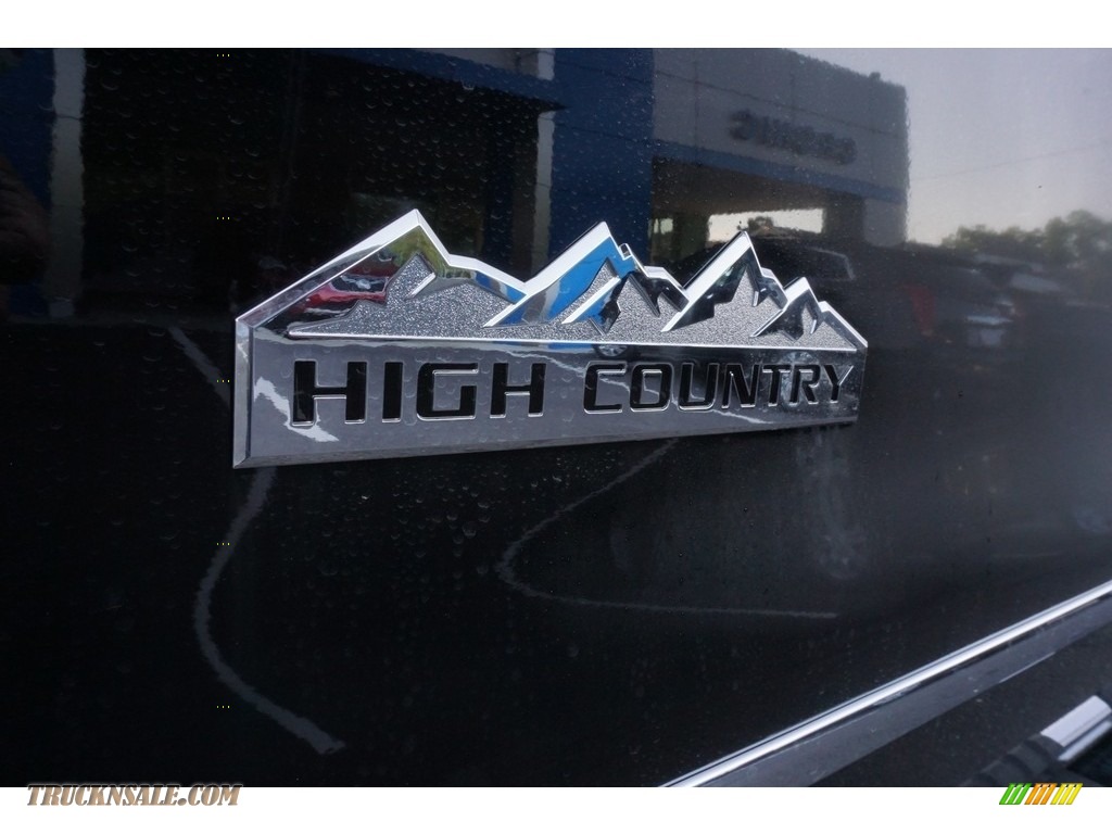 2019 Silverado 2500HD High Country Crew Cab 4WD - Black / High Country Saddle photo #10