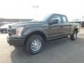 Ford F150 XL SuperCab 4x4 Magnetic photo #7