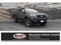 Toyota Tacoma TRD Off-Road Double Cab 4x4 Magnetic Gray Metallic photo #1
