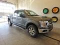 Ford F150 XLT SuperCab 4x4 Magnetic photo #1