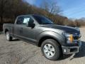Ford F150 XLT SuperCab Magnetic photo #9