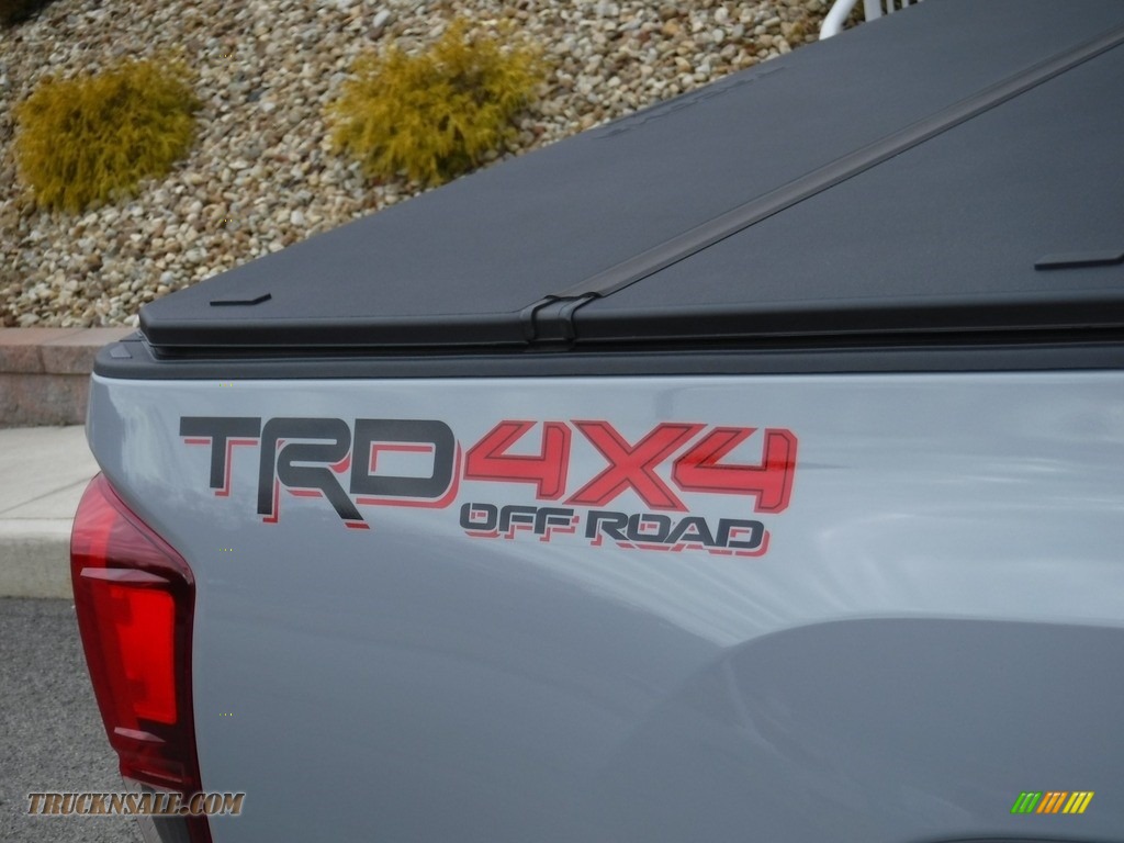 2019 Tacoma TRD Off-Road Double Cab 4x4 - Cement Gray / TRD Graphite photo #4