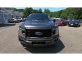Ford F150 XL SuperCrew 4x4 Magnetic photo #2