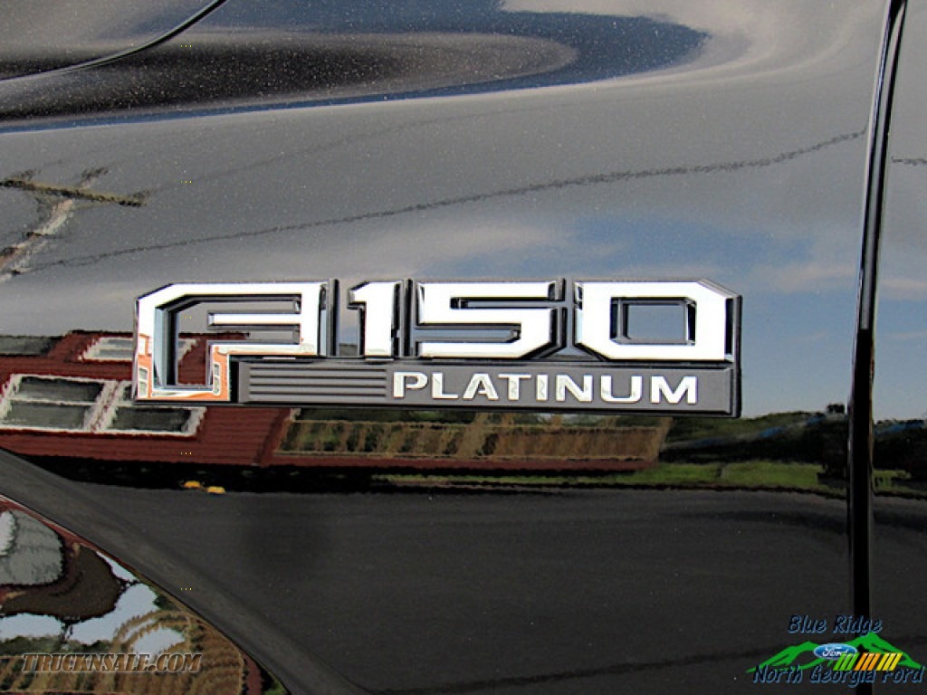 2019 F150 Platinum SuperCrew 4x4 - Agate Black / Dark Marsala photo #39