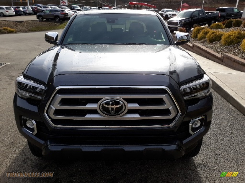2020 Tacoma Limited Double Cab 4x4 - Magnetic Gray Metallic / Hickory photo #23