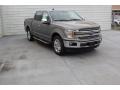 Ford F150 XLT SuperCrew Silver Spruce photo #2