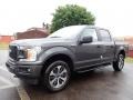 Ford F150 STX SuperCrew 4x4 Magnetic photo #6