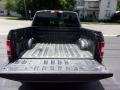 Ford F150 XL SuperCrew 4x4 Magnetic photo #8