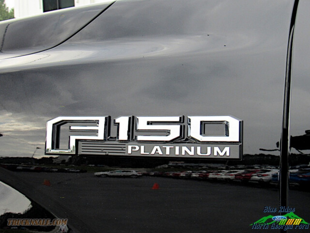 2020 F150 Platinum SuperCrew 4x4 - Agate Black / Platinum Unique Dark Marsala photo #32