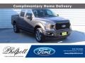 Ford F150 STX SuperCrew 4x4 Magnetic photo #1