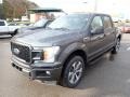 Ford F150 STX SuperCrew 4x4 Magnetic photo #5