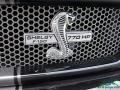 Ford F150 Shelby Cobra Edition SuperCrew 4x4 Agate Black photo #36