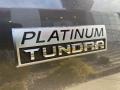 Toyota Tundra Platinum CrewMax 4x4 Magnetic Gray Metallic photo #28