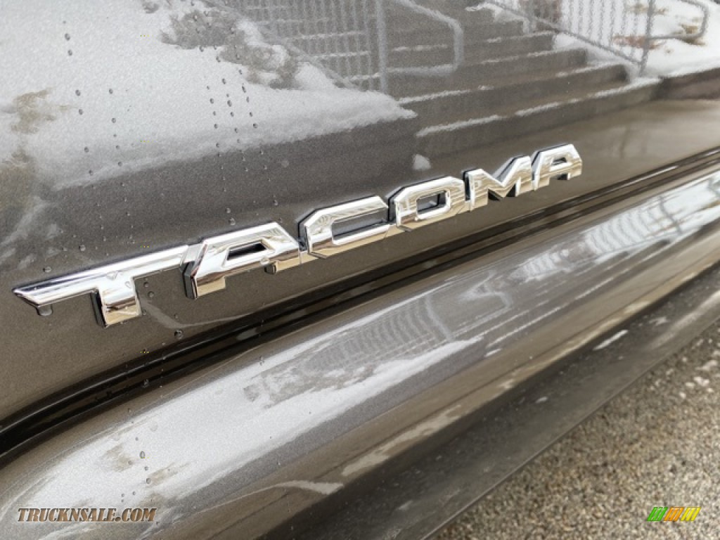 2021 Tacoma SR5 Access Cab 4x4 - Magnetic Gray Metallic / Cement photo #25
