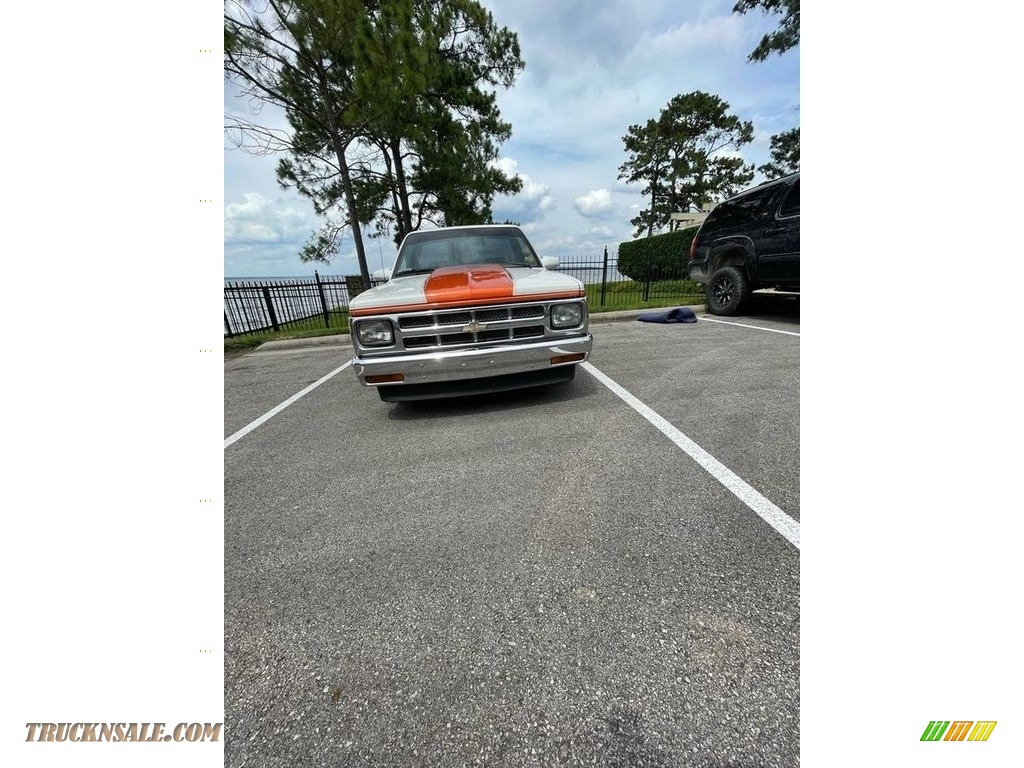 1989 S10 Regular Cab - Custom Orange / Saddle photo #5