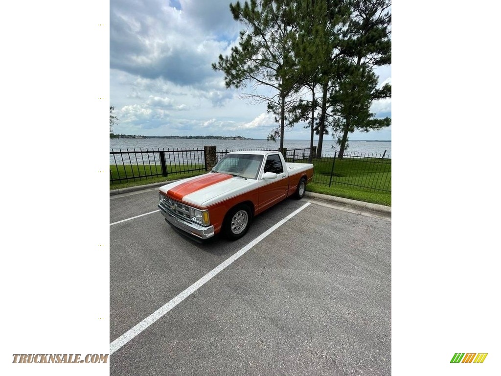 1989 S10 Regular Cab - Custom Orange / Saddle photo #6