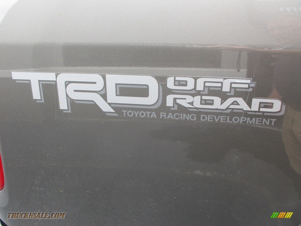 2005 Tundra SR5 Double Cab 4x4 - Silver Sky Metallic / Dark Gray photo #27