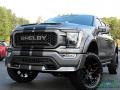 Ford F150 Shelby Off-Road SuperCrew 4x4 Carbonized Gray photo #1