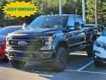 Ford F250 Super Duty Lariat Crew Cab 4x4 Tremor Package Agate Black photo #1